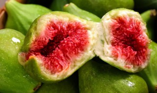 无花果怎样储存才不生虫 无花果怎样储存