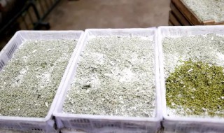 怎样储存青麦仁 怎么储存青麦仁