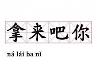 拿来吧你的梗出自哪里 拿来吧你的梗出自哪