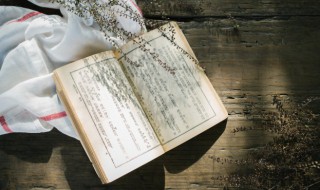 关于抓紧时间的成语 关于抓紧时间的成语有哪些