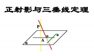什么叫射影 射影叫什么