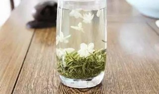 茉莉花茶6种人不要喝 哪6种人不能喝茉莉花茶