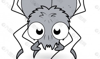 关于蜘蛛的知识和特点 蜘蛛的知识和特点介绍