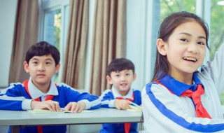 食粉是什么粉 食粉是什么东西