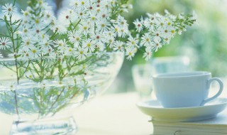 昵称大全清新简约 清新简约的森系网名大全