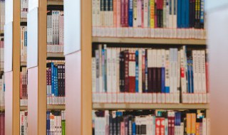 鼠技虎名文言文翻译 鼠技虎名的文言文翻译内容