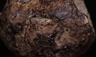 龙涎香怎样储存 龙涎香储存的做法