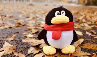 如何隐藏QQ群昵称让其匿名聊天 怎么隐藏QQ群昵称让其匿名聊天