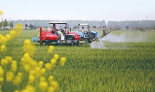 四季农事有哪些介绍下 四季农事简单介绍