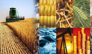 什么叫大宗商品 大宗商品介绍