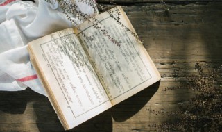 说文解字里的古文指的是什么 说文解字里的古文是什么