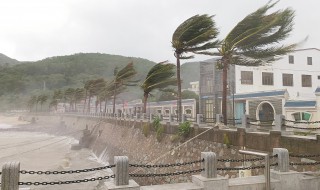 查帕卡是什么意思 查帕卡是台风吗