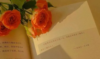 文案温柔干净治愈 关于温柔干净治愈的文案