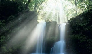 死水和活水的区别 死水和活水的区别有哪些