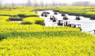 鱼米之乡是指哪里 鱼米之乡说的是哪儿