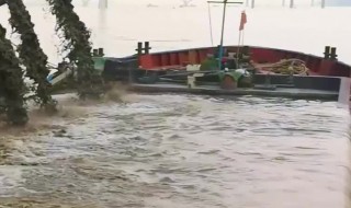 洪水编号标准是什么 洪水编号标准