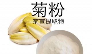 菊粉是什么?是菊花磨的吗 菊粉介绍