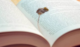 文案温柔古风 仙到极致的温柔句子