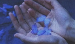 文案温柔治愈简短 温柔治愈的文案有哪些