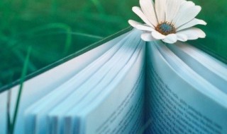 何乐而不为是什么意思 何乐而不为的释义