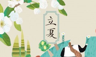 夏天的节气 夏天的节气是什么