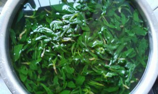 苦菜有哪些家常吃法 苦菜的家常吃法