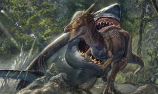 龙是由哪几种动物组成 龙是由多少种动物组成