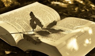 世界闻名的闻什么意思 世界闻名的闻解释