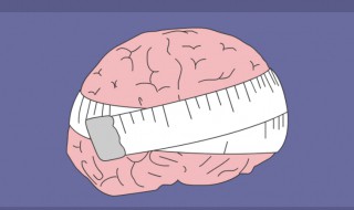 轻度脑萎缩是什么意思 轻度脑萎缩简单介绍