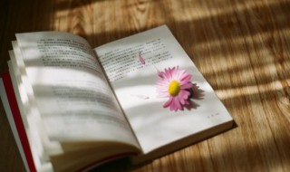 阿谀奉承意思 阿谀奉承的含义