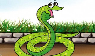 做梦梦到蛇咬自己是什么意思 做梦梦到蛇咬自己有什么寓意