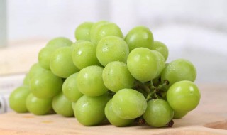 阳光玫瑰膨果期管理方法 学会这两点收获满满