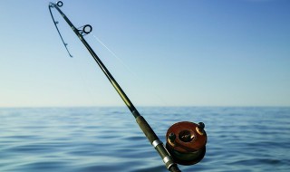 鸡肝打碎钓鱼的海竿方法 鸡肝怎么弄成鱼饵