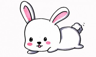 怎么画小兔子 小兔子简笔画教程