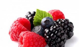 什么叫山月 山月莓解释