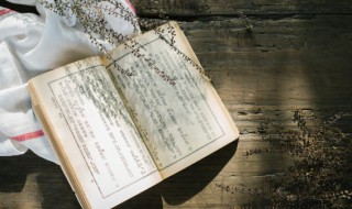 亦舒作品简介 亦舒作品有哪些呢