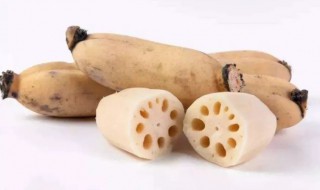 莲藕性温还是性寒 莲藕属性是什么