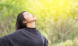 空气中含量最多的气体 空气的成分主要有哪些