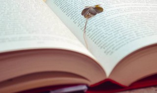 雨怎么读 雨读法