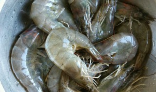 虾过敏快速处理土方法 虾过敏快速处理方法