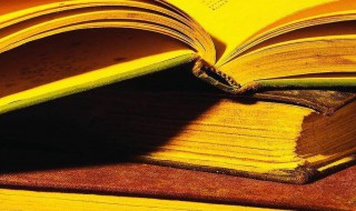 关于大熊猫的作文 关于大熊猫的作文怎么写