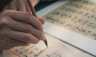 柳怎么读 柳读音