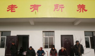 养老院接收植物人吗 植物人可以送去养老院吗