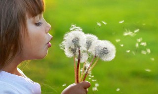 闰六月出生女孩什么命 就让我们来了解一下