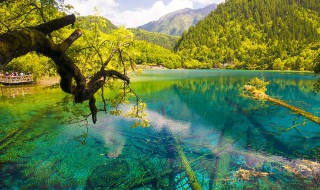 青川到九寨沟多少公里 大家不妨看一看