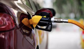 老檀阿特兹加多少号油 给大家介绍一下