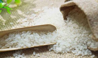 大米长虫让冰箱急冻可以吗 个人经验分享