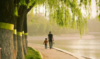 早上散步吃早餐先还是散步回来吃 下面为大家介绍