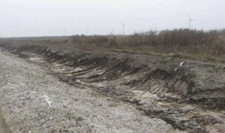 生鸡粪放在化粪池多长时间可以种菜 下面为大家解答