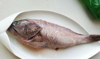 秋天钓小溪石斑鱼技巧 秋天怎么钓小溪石斑鱼